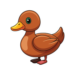  Vivid Ruddy Duck Bird Design