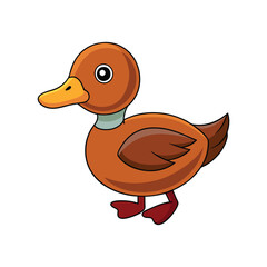  Bright Ruddy Duck Bird Artwork