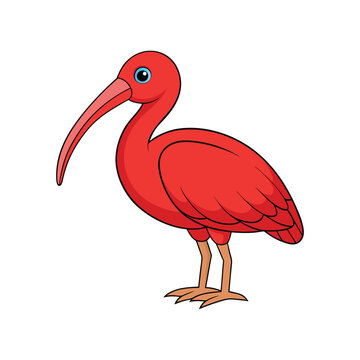  Vivid Scarlet Ibis Bird Design