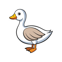  Bright Snow Goose Bird Artwork