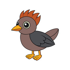  Vivid Sora Bird Design