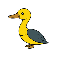  Charming Yellow-billed Loon Bird Artwork