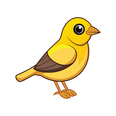  Vivid Yellow-eyed Junco Bird Artwork