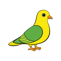  Stunning Yellow-footed Green Pigeon Bird Illustration