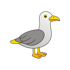  Charming Yellow-legged Gull Bird Design
