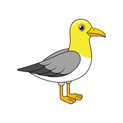  Elegant Yellow-legged Gull Bird Vector