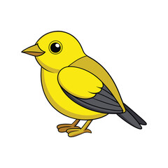  Elegant Yellow-throated Vireo Bird Vector