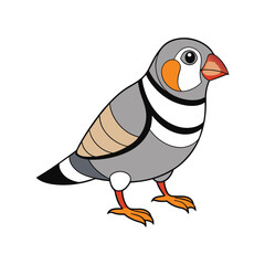  Stunning Zebra Finch Bird Illustration