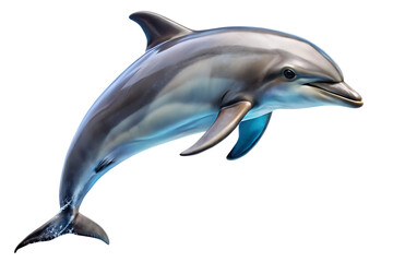 jumping dolphin isolated on white background PNG. GENERATIVE AI