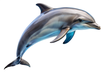 jumping dolphin isolated on white background PNG. GENERATIVE AI