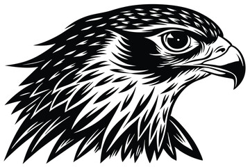 Detailed Black and White Eagle Head Design 