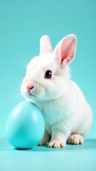 Obraz premium White rabbit sitting beside a blue egg on a vibrant turquoise background, symbolizing Easter celebrations and springtime joy, Easter concept
