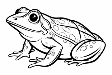 coloring page line art the african bullfrog vector