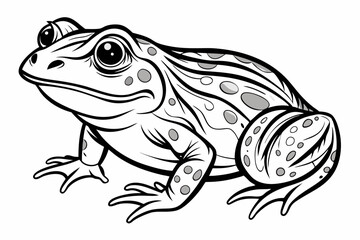 coloring page line art the african bullfrog vector