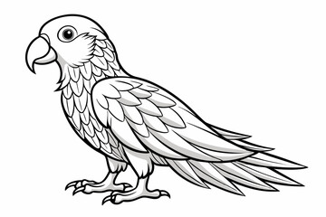 Tia bird vector