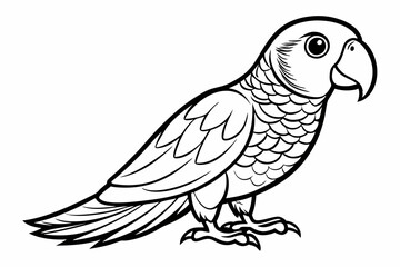 Tia bird vector