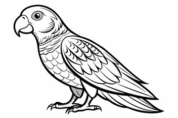Tia bird vector