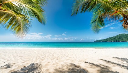 summer white sand closeup beach background framed sandy copy space with palm trees and beautiful sea ocean landscape summertime holidays vacation sand beach resort tropical traveling