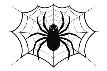 Detailed Black Spider on Cobweb with White Backdrop Halloween Style