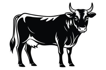 Detailed Black and White Bull Isolated 
