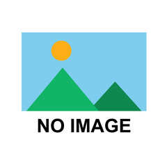 No Image icon Placeholder on a Transparent Background