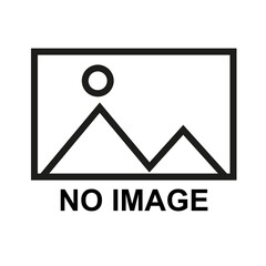 No Image icon Placeholder on a Transparent Background
