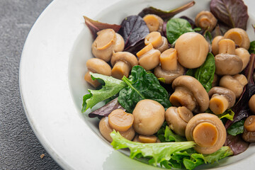 Mushroom salad green lettuce canned champignon mushrooms fresh gourmet food background on the table rustic food top view copy space