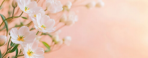Pastel tulip bouquet on soft peach background with ample space for personal messages. spring background banner, delicate flowers minimalism. empty space for text. flyer