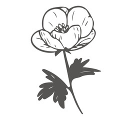 vector illustration of a flower