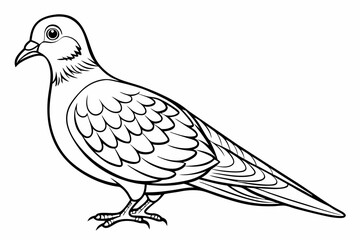 coloring page line art the eurasian vector