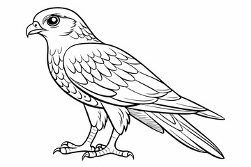 coloring page line art the eurasian vector