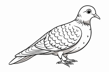 coloring page line art the eurasian vector