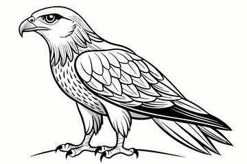 coloring page line art the eurasian vector