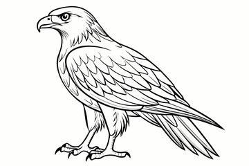 coloring page line art the eurasian vector