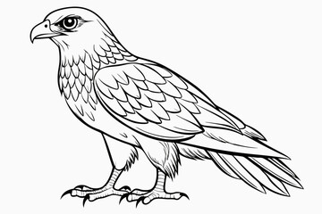 coloring page line art the eurasian vector