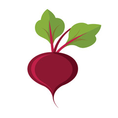 Beetroot Root Vegetable Flat Icon with Leaves

