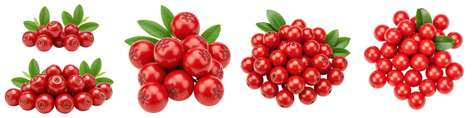 Obraz premium Glossy red berries clustered with green leaves.