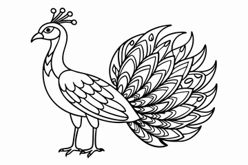 coloring page line art the indian peafowl black vector