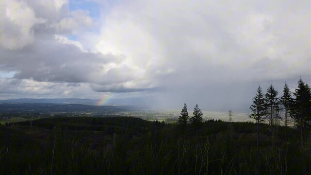 Beautiful Rainbow Over A Forest In Oregon