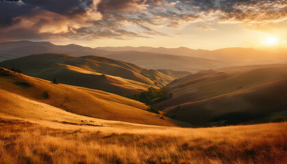 Golden Rolling Hills at Sunset