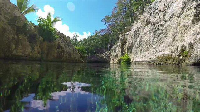 Gran cenote in tulum mexico offers refreshing turquoise waters surrounded by lush vegetation