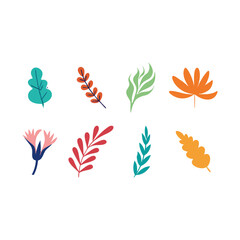 set of colorful leaves vector