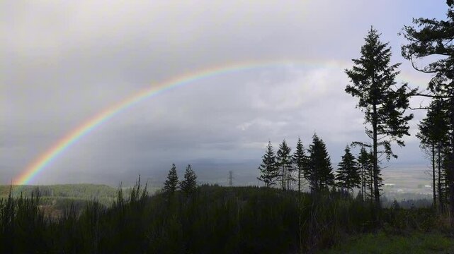 A Huge Rainbow Over a Clearcut Forest