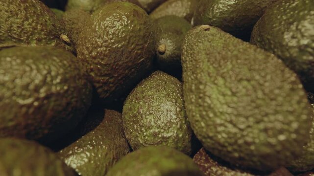Fresh whole avocados neatly arranged on a grocery store shelf, showcasing their smooth green skin and rich texture in a well-lit retail environment