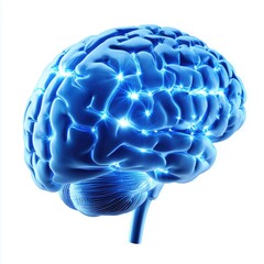 Brain model showcasing neural activity with glowing connections representing thought processes in a scientific visualization