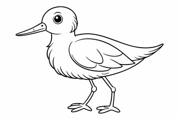 Fototapeta premium coloring page line art the little sandpiper black vector