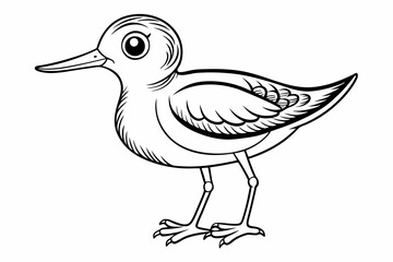 coloring page line art the little sandpiper black vector