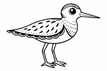 coloring page line art the little sandpiper black vector
