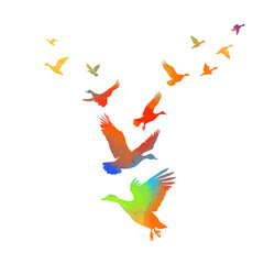 A flock of colored ducks flying. hand drawing. Not AI. Vector illustration