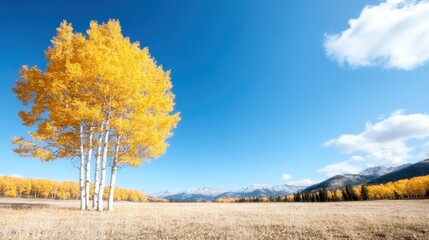 Obraz premium This stunning landscape features a magnificent golden tree standing in an open field, perfectly blending the beauty of nature's colors with the serenity of distant mountains.